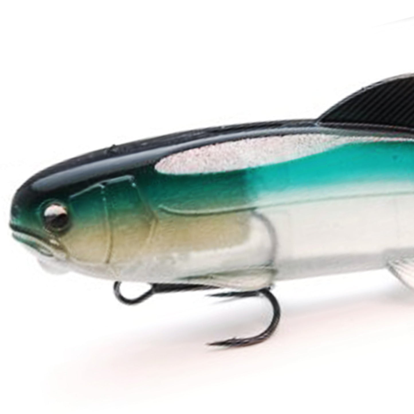 OSAKANA SWIMMER 125